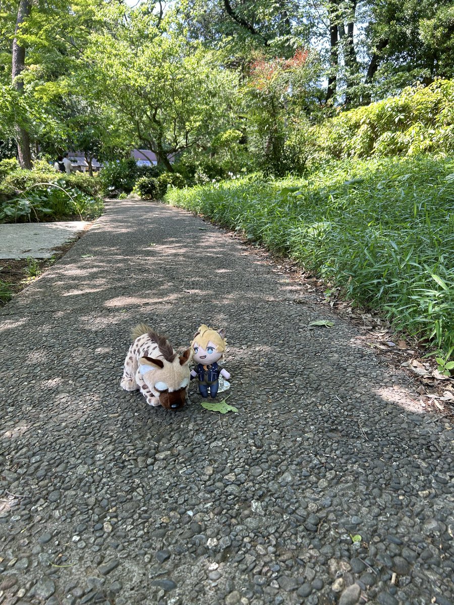 とりみず tweet media
