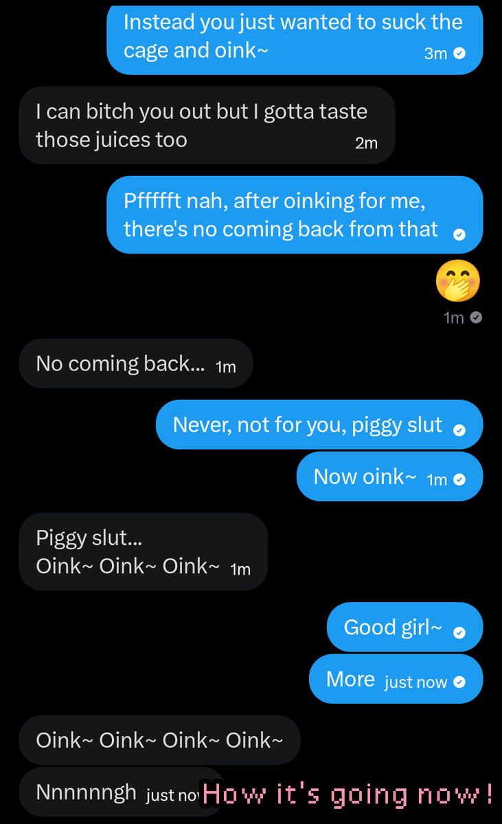~Piggy Chloe~ tweet media