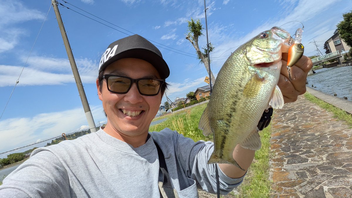 jackallhideyuki's tweet photo. 今日は半日霞水系へ🎣
今回も強風でやりづらかったけど
レベルクランクピングで遊んでくれました😊
#レイドジャパン #レベルクランクピング #霞水系 https://t.co/R2zCRoHT7a