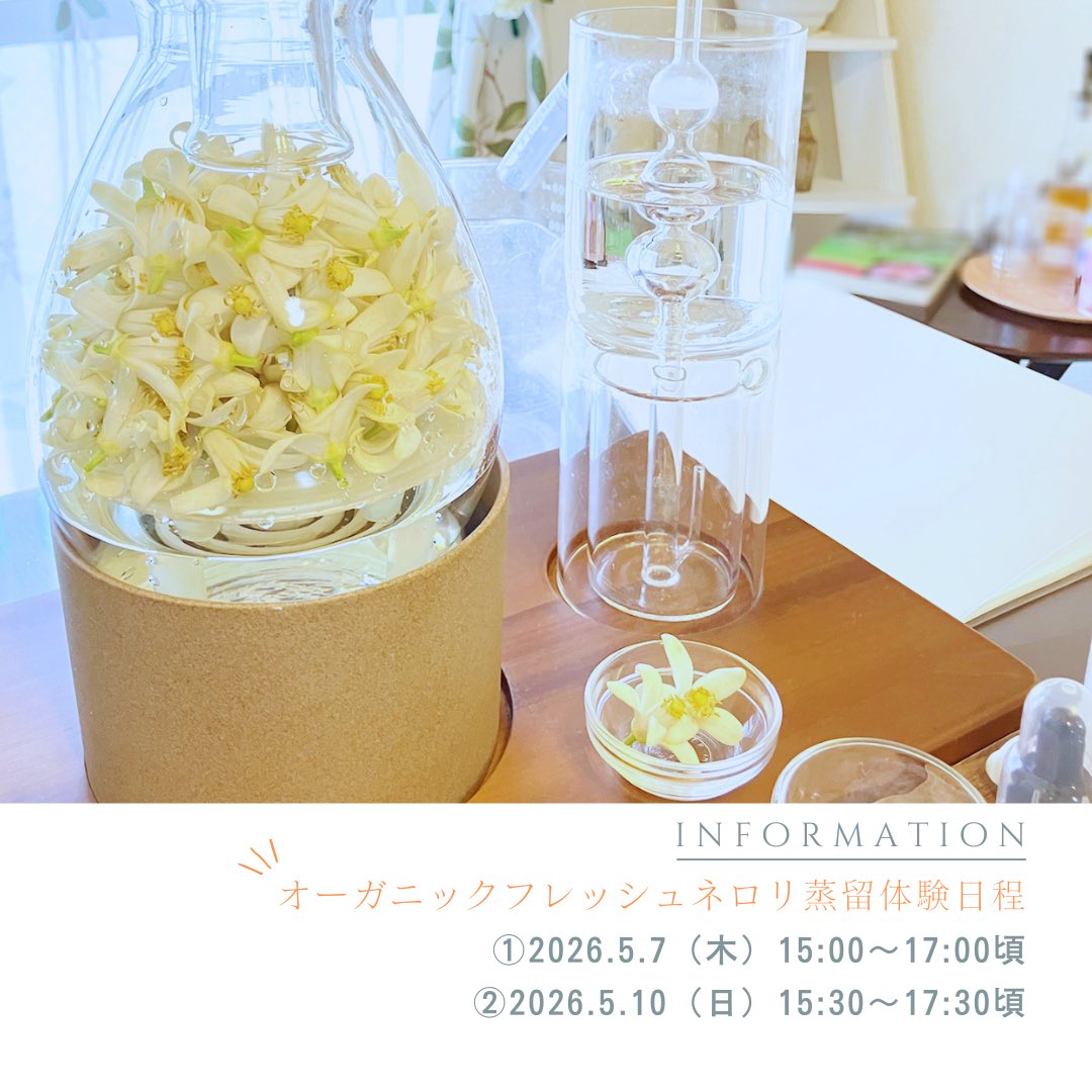 AromaCaon's tweet photo. 急な募集で申し訳ございません💦
フレッシュネロリ蒸留体験会のご案内です。
①5/7（木）15:00〜17:00
②5/10（日）15:30〜17:30
持ち物は、筆記用具と受講料7,150円/人です。
ご予約受付中です。
ご興味のある方はDMくださいませ✉️ https://t.co/oA51yiihoI