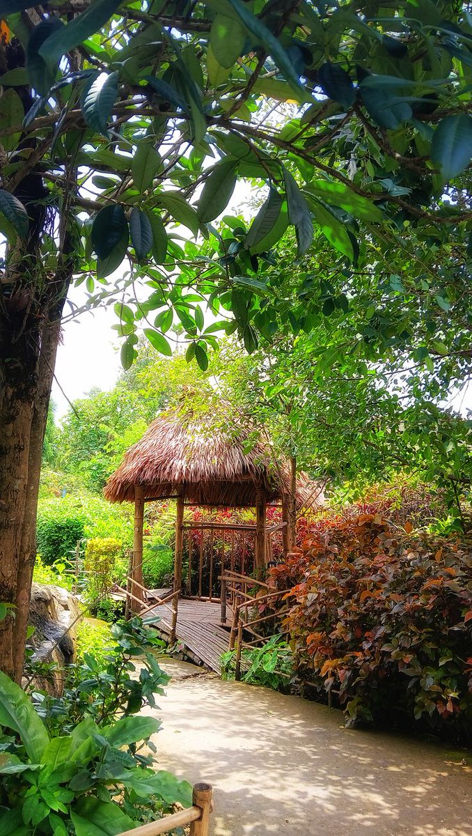 sanjoydey451's tweet image. Mawlynnong, Meghalaya stands apart with cleanliness, sustainability, and living root bridges. More than a destination, it’s a model of responsible tourism. 
#Mawlynnong #Meghalaya #SustainableTourism #TravelIndia #RuralTourism @meghtourism
@incredibleindia