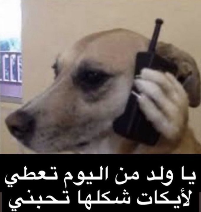 ninni ੯‧̀͡⬮ tweet media