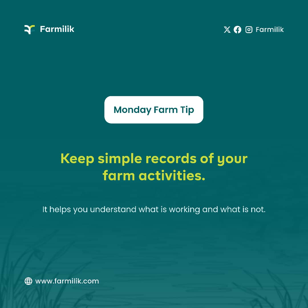 Farmilik's tweet image. It's Monday. 

A day to plan for the week.

Keep simple records of your farm activities using Farmilik farm management app.

#Farmilik #Technology #innovation #Agriculture