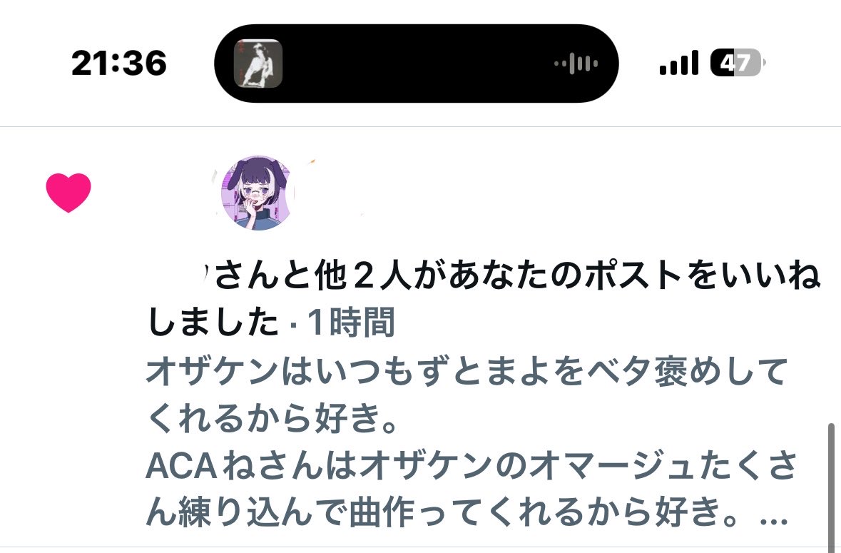 ʕ •ᴥ•ʔくまくまʕ•ᴥ• ʔ tweet media