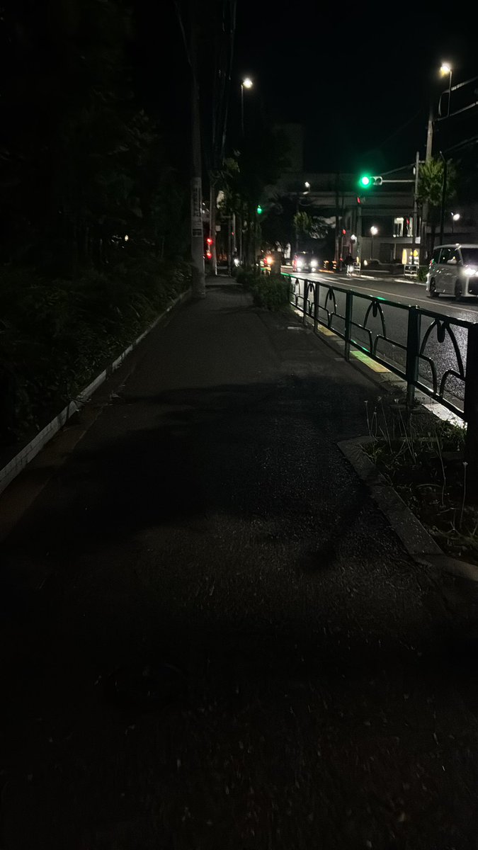 (め ᵕ い) tweet media