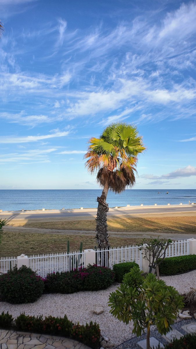 UGCTrueTake's tweet image. What an absolute pleasure to fly in from Canada to Aruba to create #UGC content for a short term rental property.  7 day stay in exchange for 3 UGC ads (2 hooks each) plus a 5-7 minute property tour video.  #Aruba is incredible and now, I won't be able to vacation anywhere else!