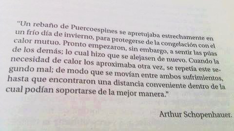 literlandweb1's tweet photo. En 1851 el filósofo Arthur Schopenhauer planteó la parábola o el dilema del erizo: "En un día muy helado, un grupo de erizos que se encuentran cerca sienten simultáneamente la necesidad de juntarse para darse calor y no morir congelados.
Cuando se aproximan mucho, sienten el dolor que les causan las púas de los otros erizos, lo que les impulsa a alejarse de nuevo.
Sin embargo, como el hecho de alejarse va acompañado de un frío insoportable, se ven en el dilema de elegir: herirse con la cercanía de los otros o morir. Por ello, van cambiando la distancia que les separa hasta que encuentran una óptima, en la que no se hacen demasiado daño ni mueren de frío".