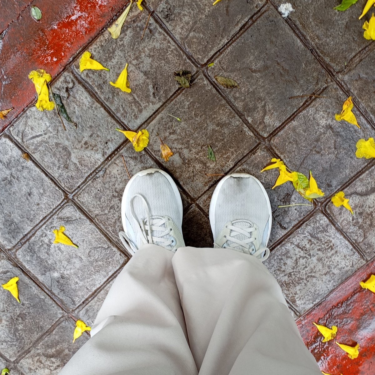#sadewalk