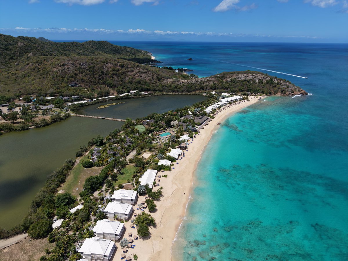 nanz punanz 🇦🇬 tweet media