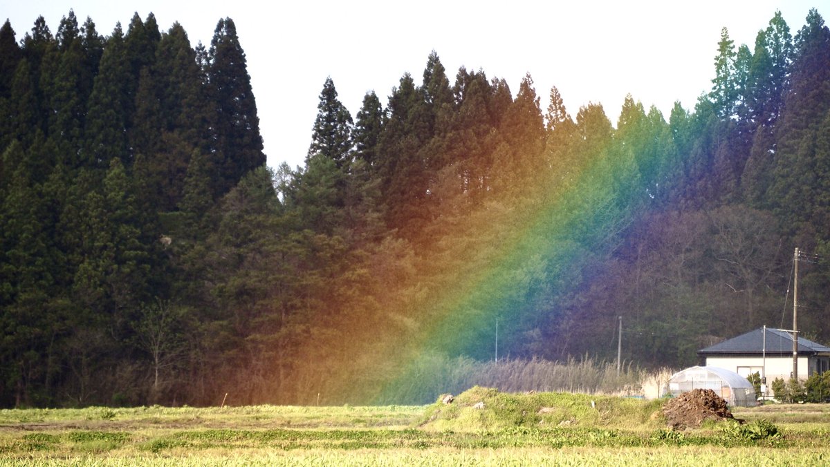 今日の虹🌈✨その2 虹の麓が撮れました☺️ #虹の麓 #天気の図鑑 #halo_jp