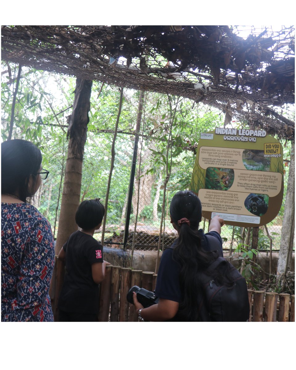 NANDANKANAN ZOOLOGICAL PARK tweet media