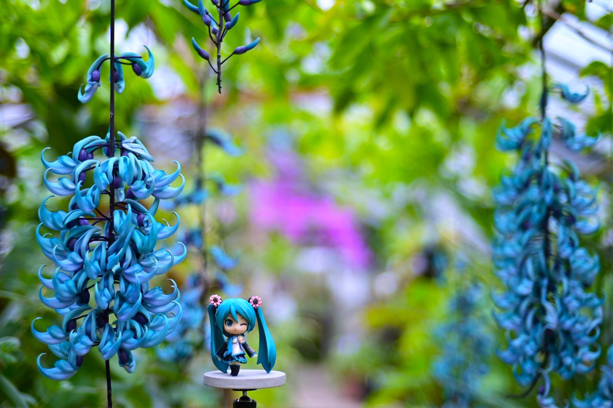 #深夜のねんどろ撮影６０分一本勝負
5/4【みどり】「フライング」既出

やっぱりコレだよね(´▽｀*)💚