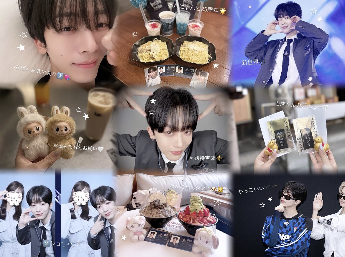 にゃんさん 毎日投票🗳✨️ tweet media