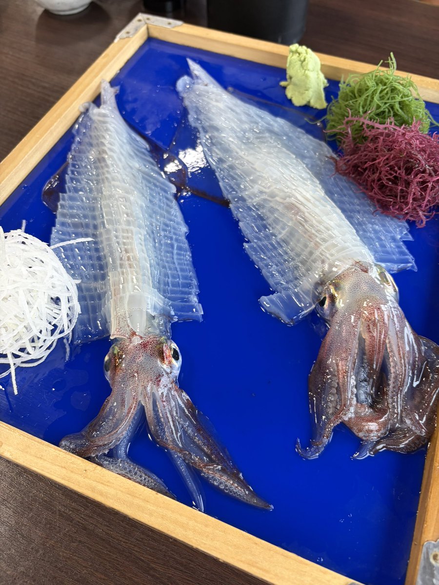 uril4's tweet photo. 東京〜長崎のロングドライブ旅、無事終了！
まじ腰が砕け散りそう🥺

波佐見の陶器まつり最高！
7時前着が成功の秘訣。買い過ぎたw

初の義実家泊、義父と夫と3人で日本酒15合は飲み過ぎた。

穴子の炙りが最高に美味しかった！
東京でも食べたいどす https://t.co/Ghpk6oatiA