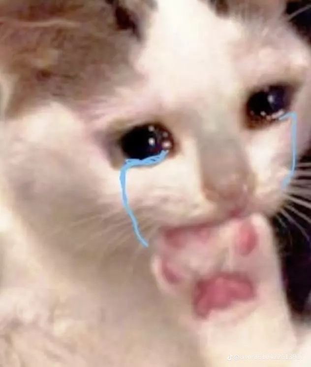 — ( 프은 ♡ ) 🐈 tweet media