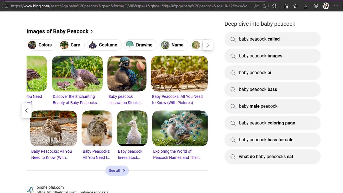 DeusLoveca's tweet photo. damn i am searching for baby animals for drawing reference and i found out there is so much ai slop there wth bing, i can imagine that a kid would think a baby peacock looks like that. https://t.co/setkfPqXsD