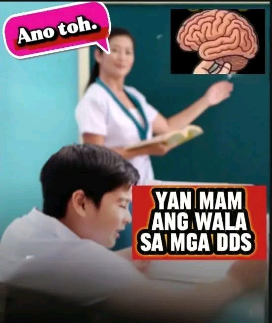 DDS Certified Bully China😂💗💚 tweet media