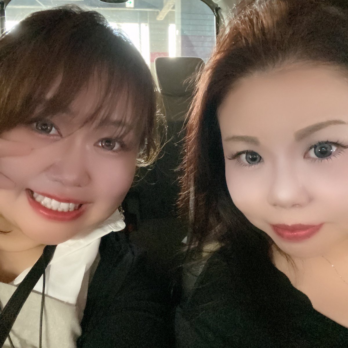 ポメ子。 (@pomenofuwa) / Posts / X