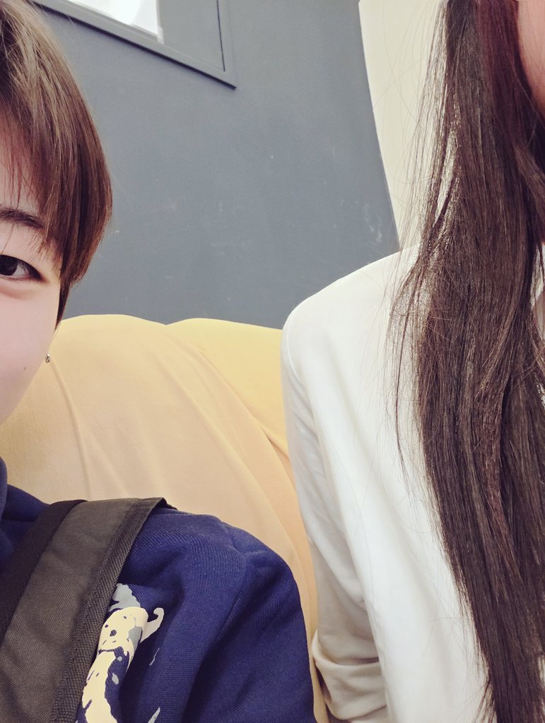 도의 tweet media
