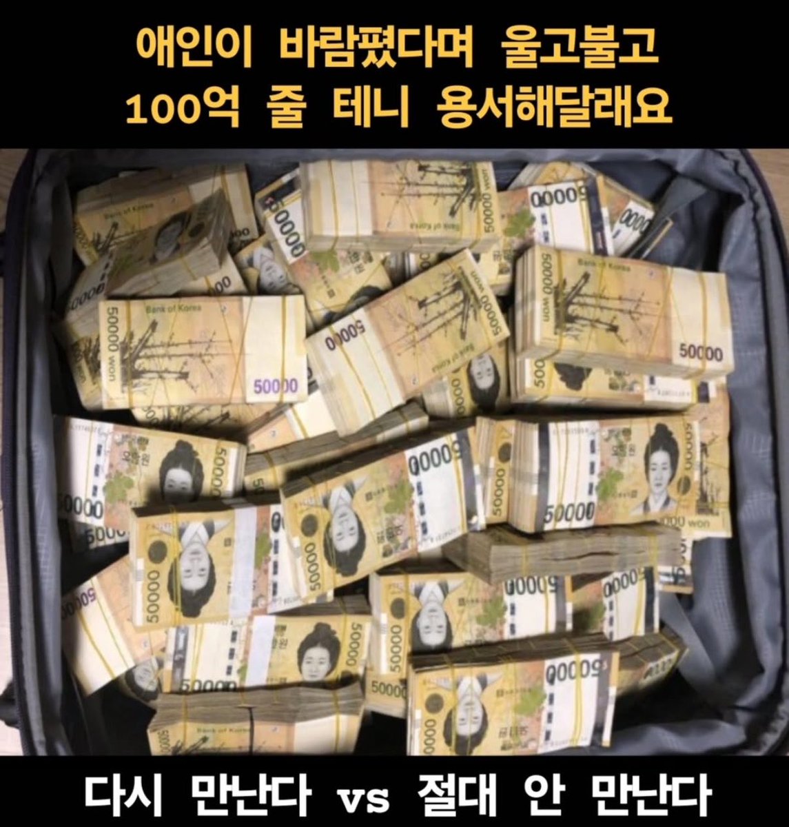 캣츠파파 tweet media