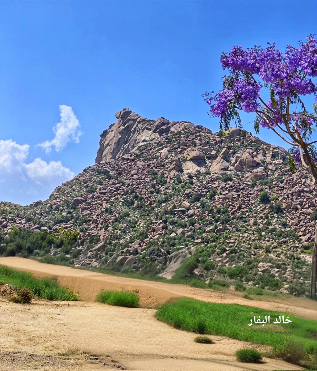 ( أبو خالد الغامدي) . tweet media