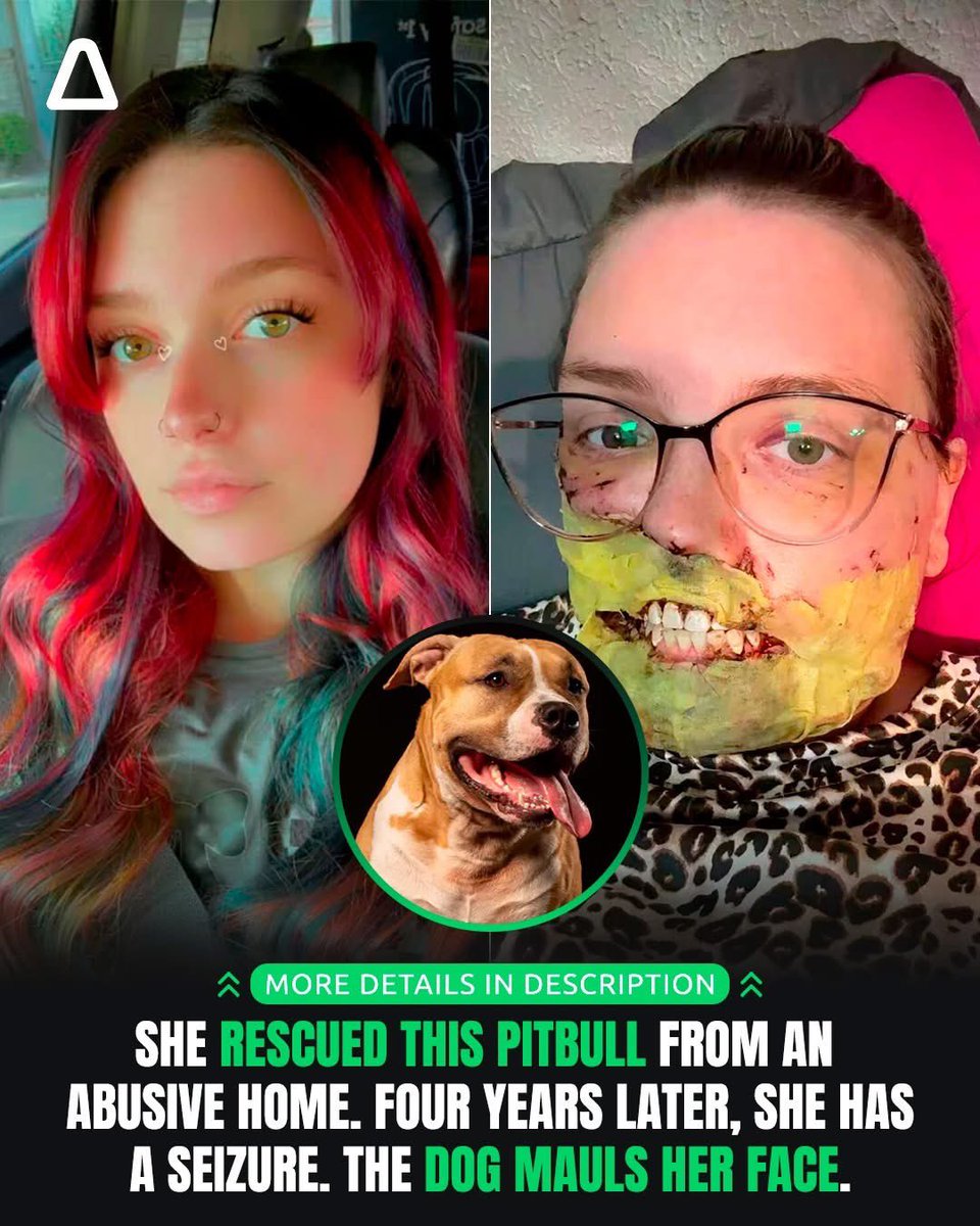Mr PitBull Stories tweet media