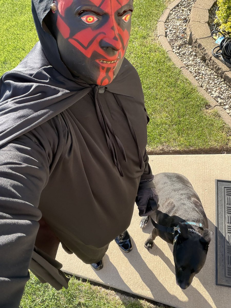 Chris_Davenport's tweet photo. My Star Wars Day dog walk of KENOBI!!! https://t.co/1DqJ0qmazq