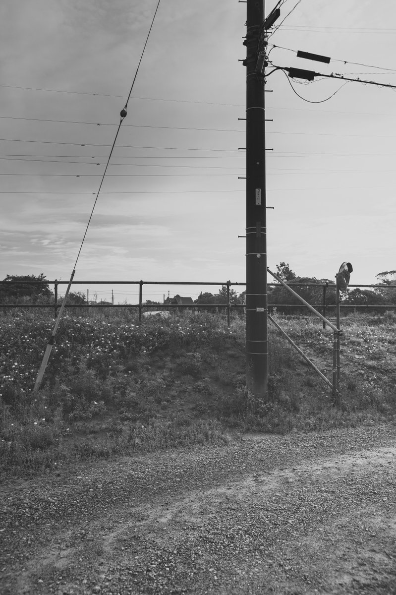 akabeko63's tweet image. #2470
#monochrome #モノクローム