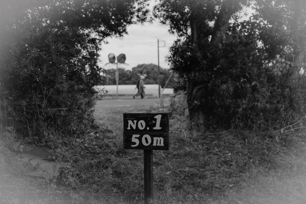 akabeko63's tweet image. #2470
#monochrome #モノクローム