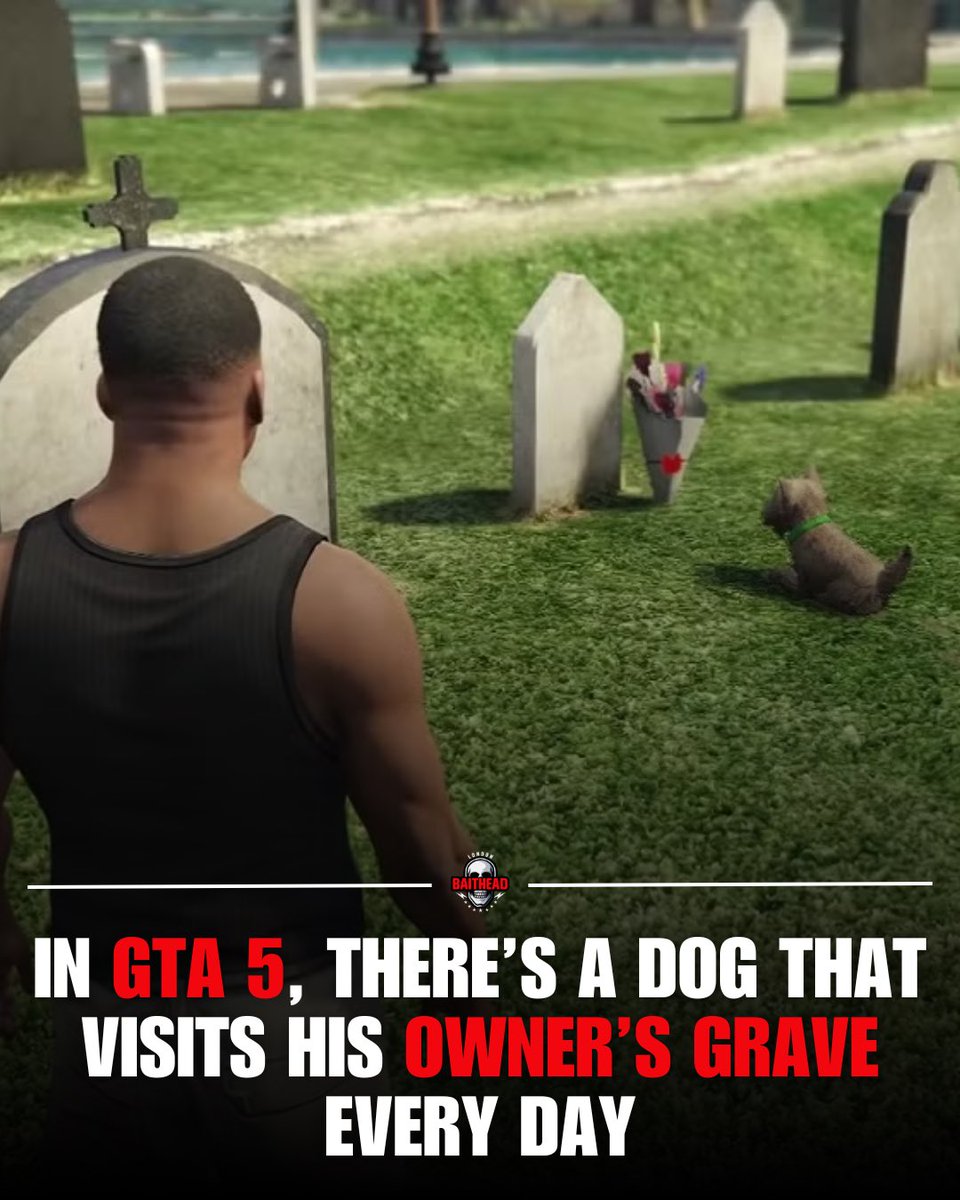 londonbaithead's tweet image. If you want to find the dog yourself in-game, head out around 11am game time. Make your way to Vinewood Cemetery, right next to Hill Valley Church in Pacific Bluffs. It’s the largest cemetery in the game, located on the north-east edge of Los Santos.

#GTA #GTAV #GTA5 #EasterEgg