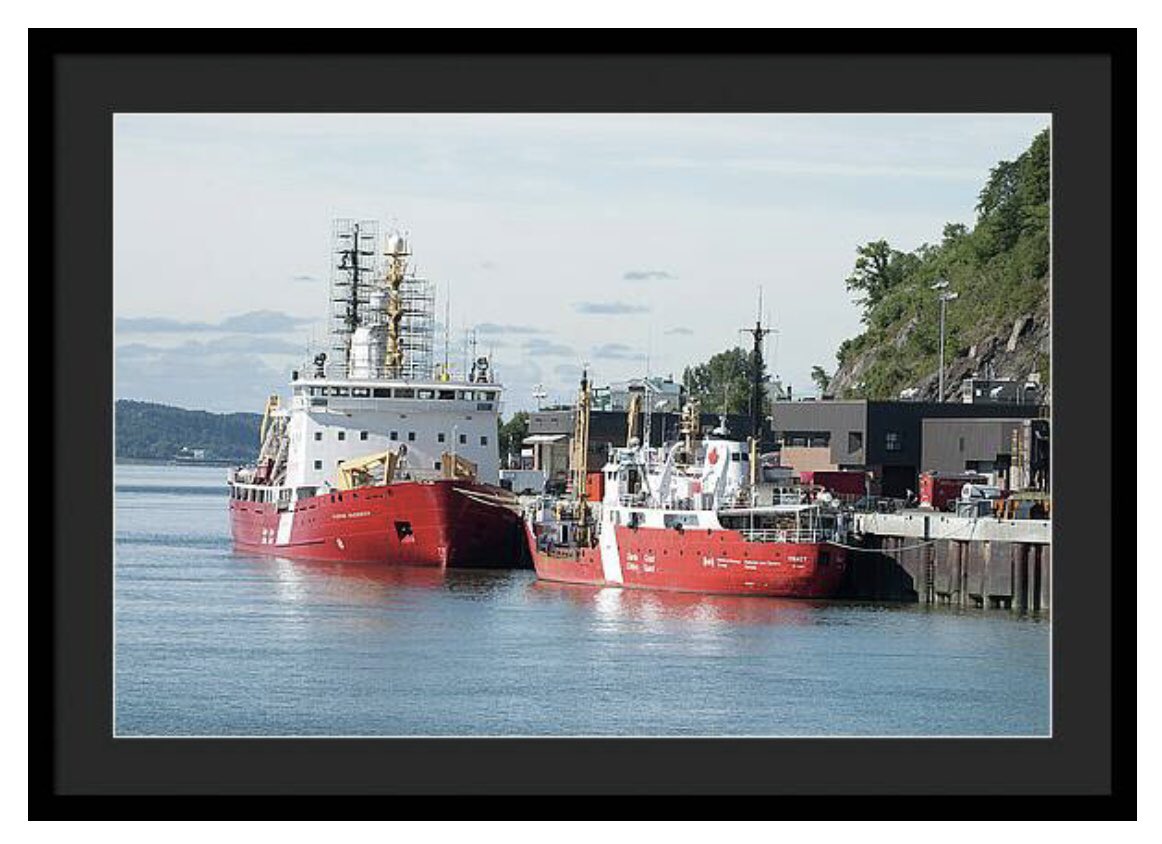 shonna99784's tweet photo. Two large Canadian Coast Guard ships are docked side by side in a calm harbour. The sky is partly cloudy, and lush greenery is visible on the hillside. 🛒 ⬇️ 

The CCGS Pierre Radisson at The Dock https://t.co/gRmWjuQkcR

#CCGS
#PierreRadisson
#QuebecCity https://t.co/H4ZyEZZiQg