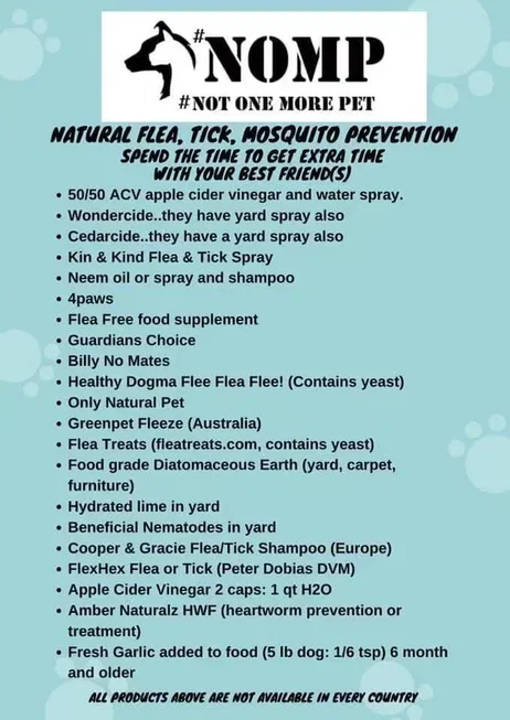 kelllynn28's tweet image. Isoxazolines Pets Cats Dogs Caturday CatsofX DogsofX

#Isoxazolines #Pets #Cats #Dogs #Caturday #CatsofX #DogsofX