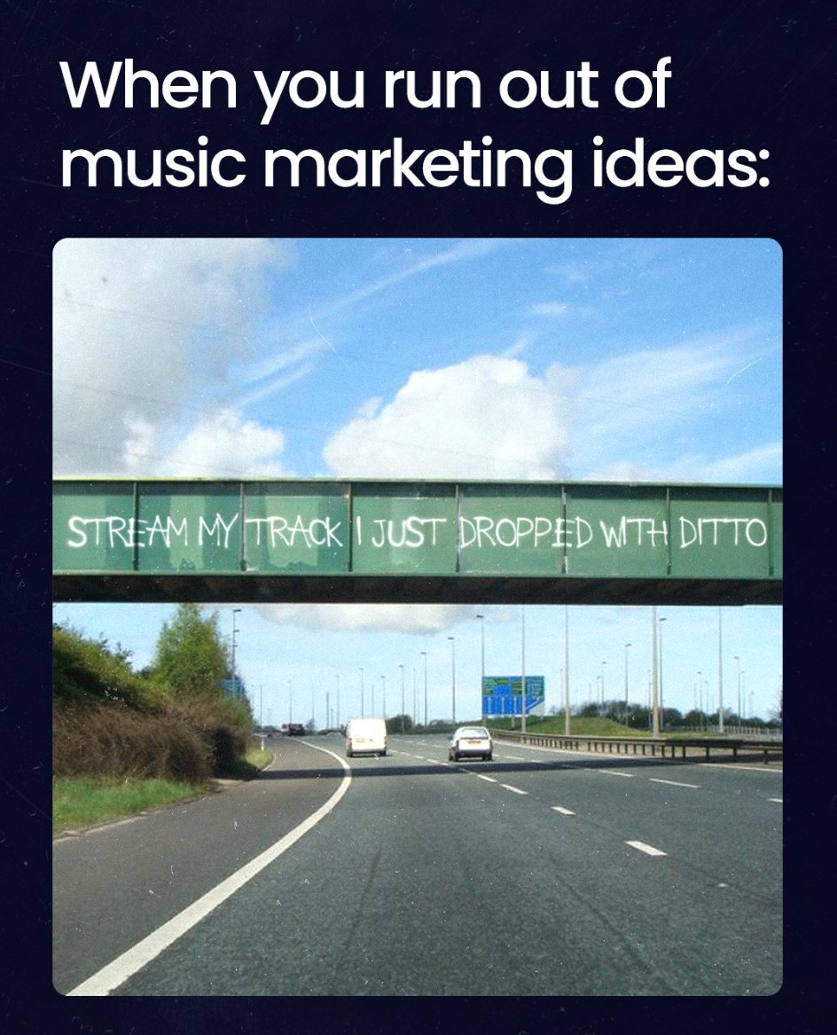 Ditto Music tweet media