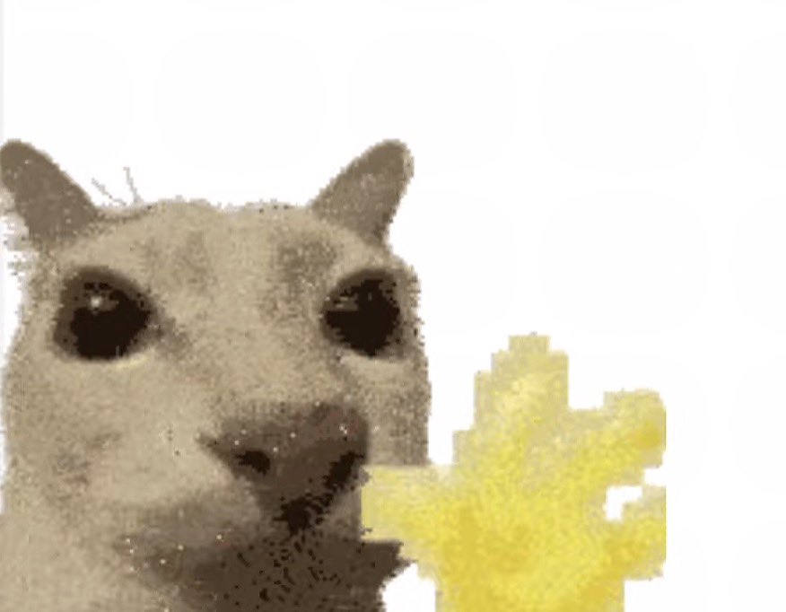 Hunnybunny tweet media