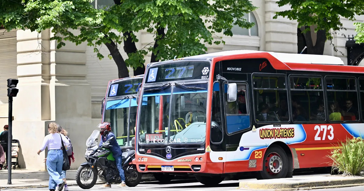 🚎#Provincia | Menos frecuencias y más caro 

El micro en Provincia se dispara y no hay tregua para el bolsillo

🔗tinyurl.com/24htd5zt