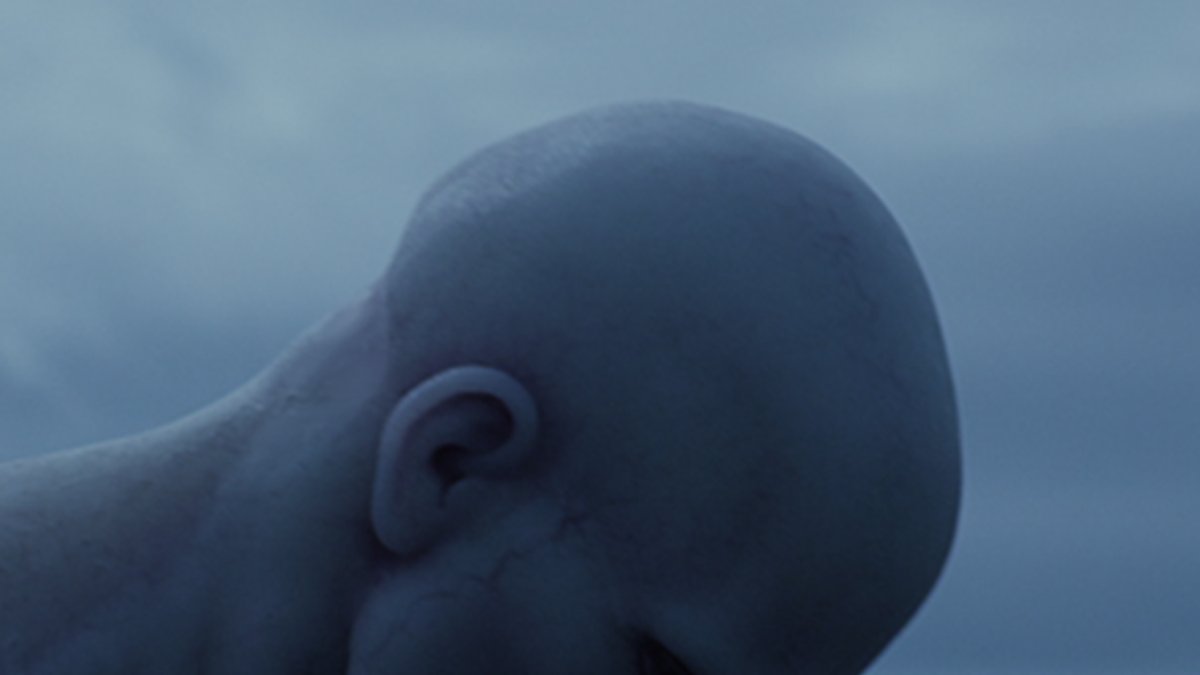 Netflix France tweet media