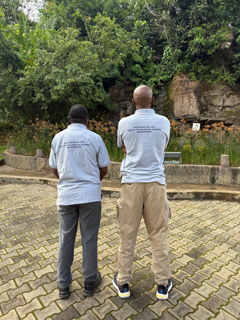 QSLUganda's tweet image. In recognition of World Health &amp;amp; Safety Day, we brought our teams together for a webinar under the theme: "Healthy Psychosocial Working Environment." 🌿

Real conversations. Real impact. Mental well-being at the centre. 🧠

#WorldHealthAndSafetyDay #WorkplaceWellbeing