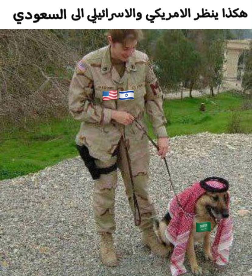 المصرى tweet media