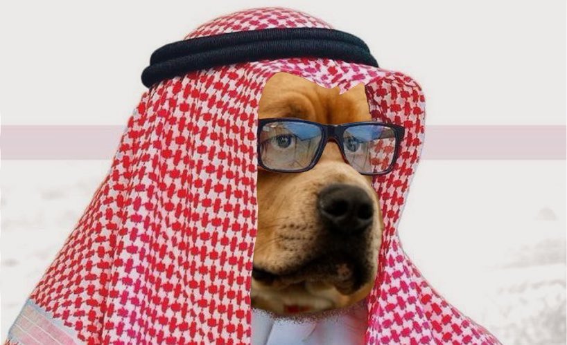 المصرى tweet media