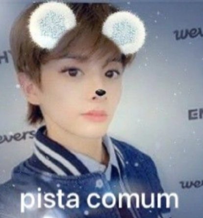 diana vai ver o skz babymetal e enha! tweet media