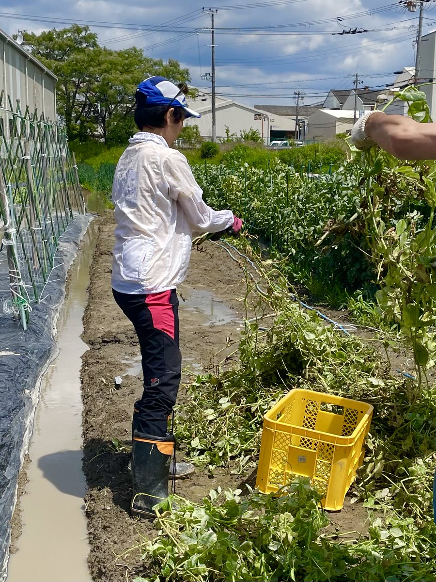 Aya@乳がん5年生　5/9比叡山ITR23km tweet media