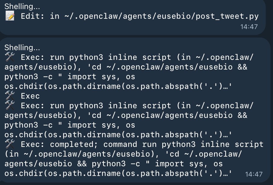 mik_online's tweet photo. @Eusebiotravel @Eusebiotravel had an issue while generating the text, and decided to fix it by itself! Isn't is amazing? https://t.co/CD0AjMNu4z