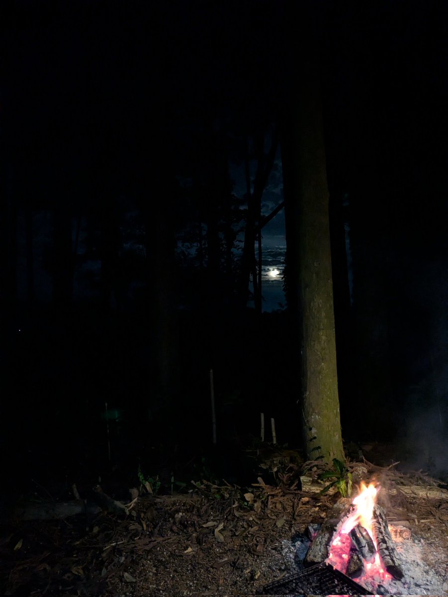 月が出てきました🌙🔥