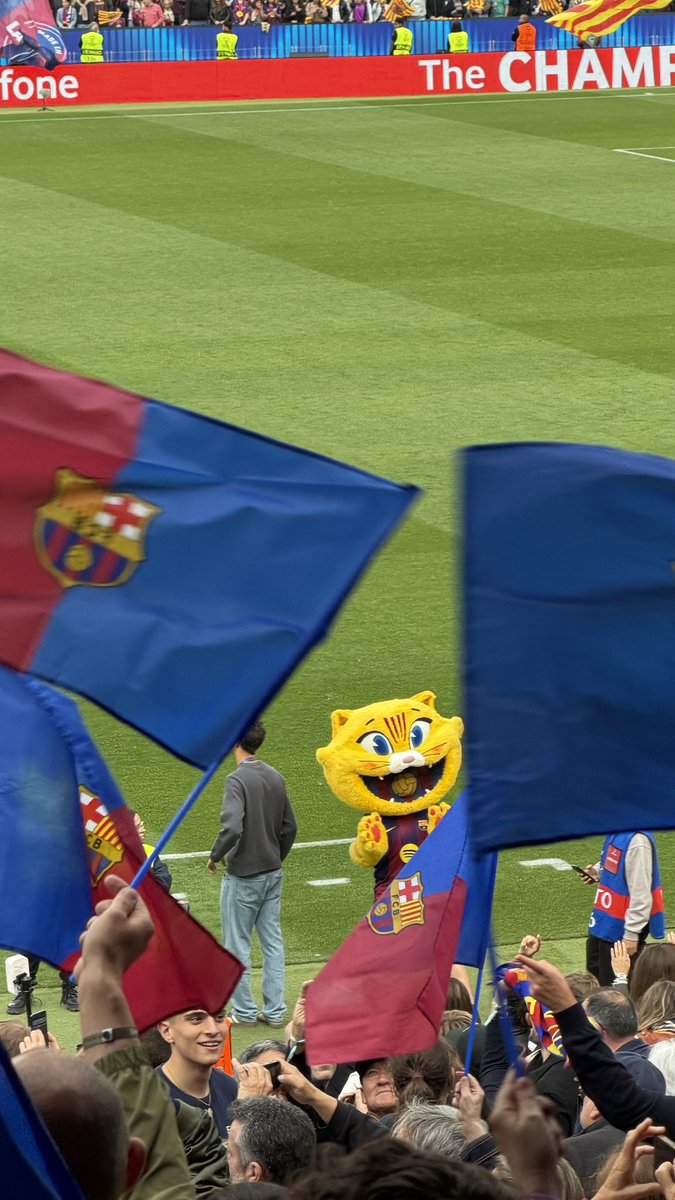 silvitomascast's tweet photo. Encara amb ressaca emocional d’ahir 💙❤️ Va ser una tarda genial! Som-hi! A per la final! ❤️❤️❤️ https://t.co/RWkcDlWUro