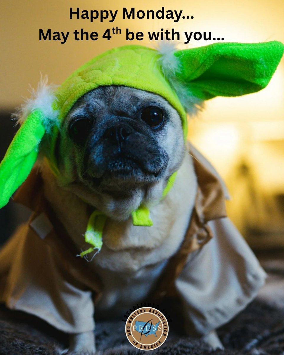 DWAA_US's tweet photo. Happy May 4th!!  May the 4th be with you!

#StarWars #StarWarDogs #May4th #petsarefamily #Happy #Dogwriters #DWAA https://t.co/JyBYhW2BBc
