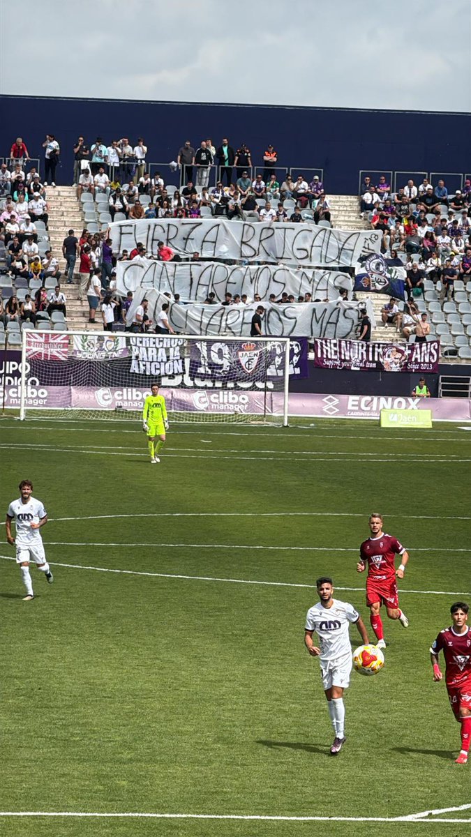 03/05/2026

Real Jaén CF - Atlético Antoniano

"Nos están viendo volver"