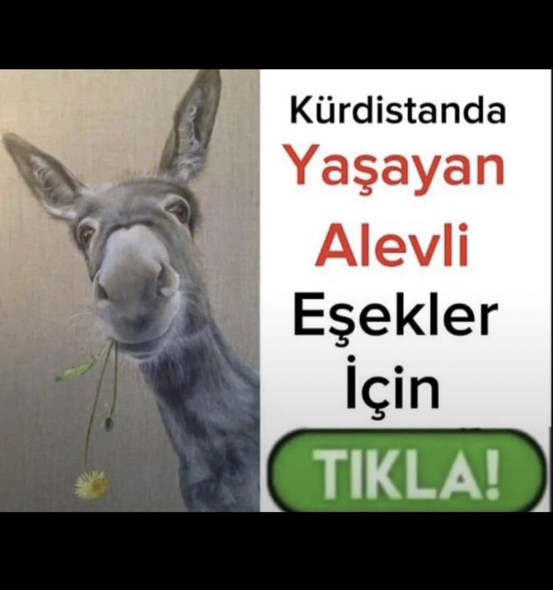 okachaaa07's tweet photo. @BerkenDurmaz https://t.co/waPrhx4QyM
