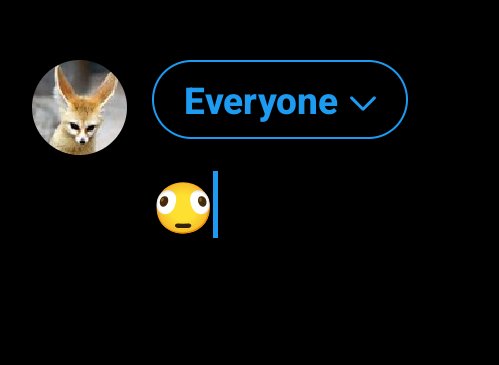 Echo tweet media