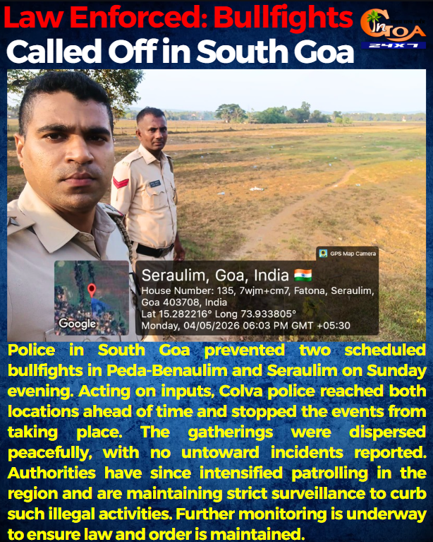 InGoa24x7's tweet image. Law Enforced: Bullfights Called Off in South Goa

#Goa #Goanews #BullFights #CalledOff #SouthGoa