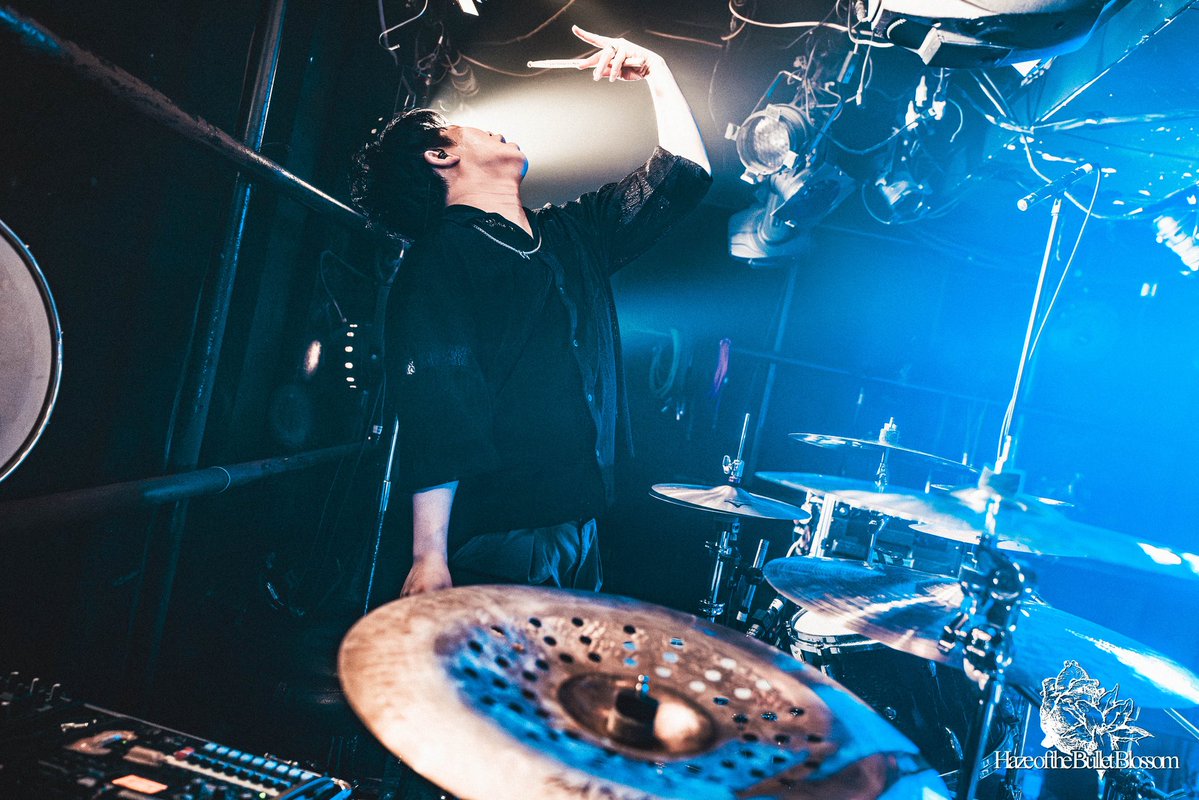 玲音/Haze of the Bullet Blossom tweet media
